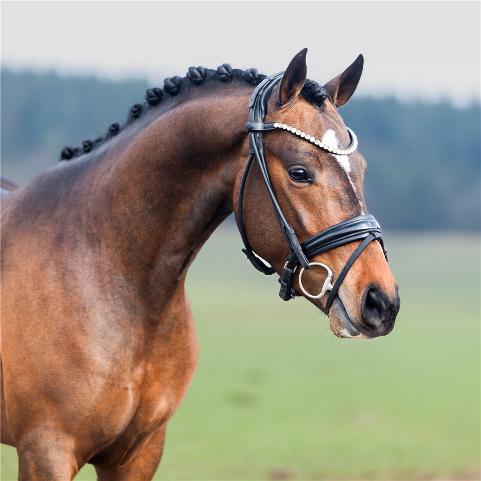 Foto: Blebea Photography